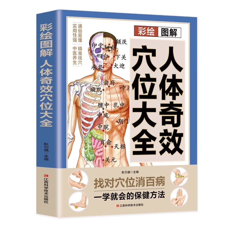 คู่มือการนวดจุดฝังเข็มและการดู - Health & Wellness Lions บทวิจารณ์และราคา