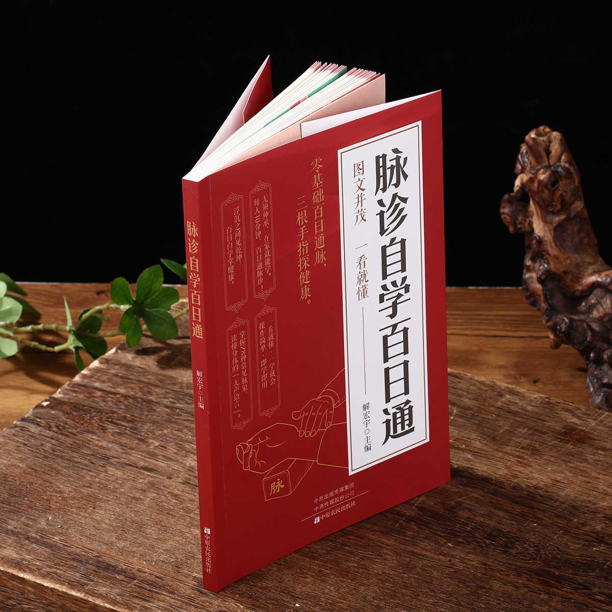 การวินิจฉัยชีพจรด้วยตนเอง หนัง - Health & Wellness Lions บทวิจารณ์และราคา