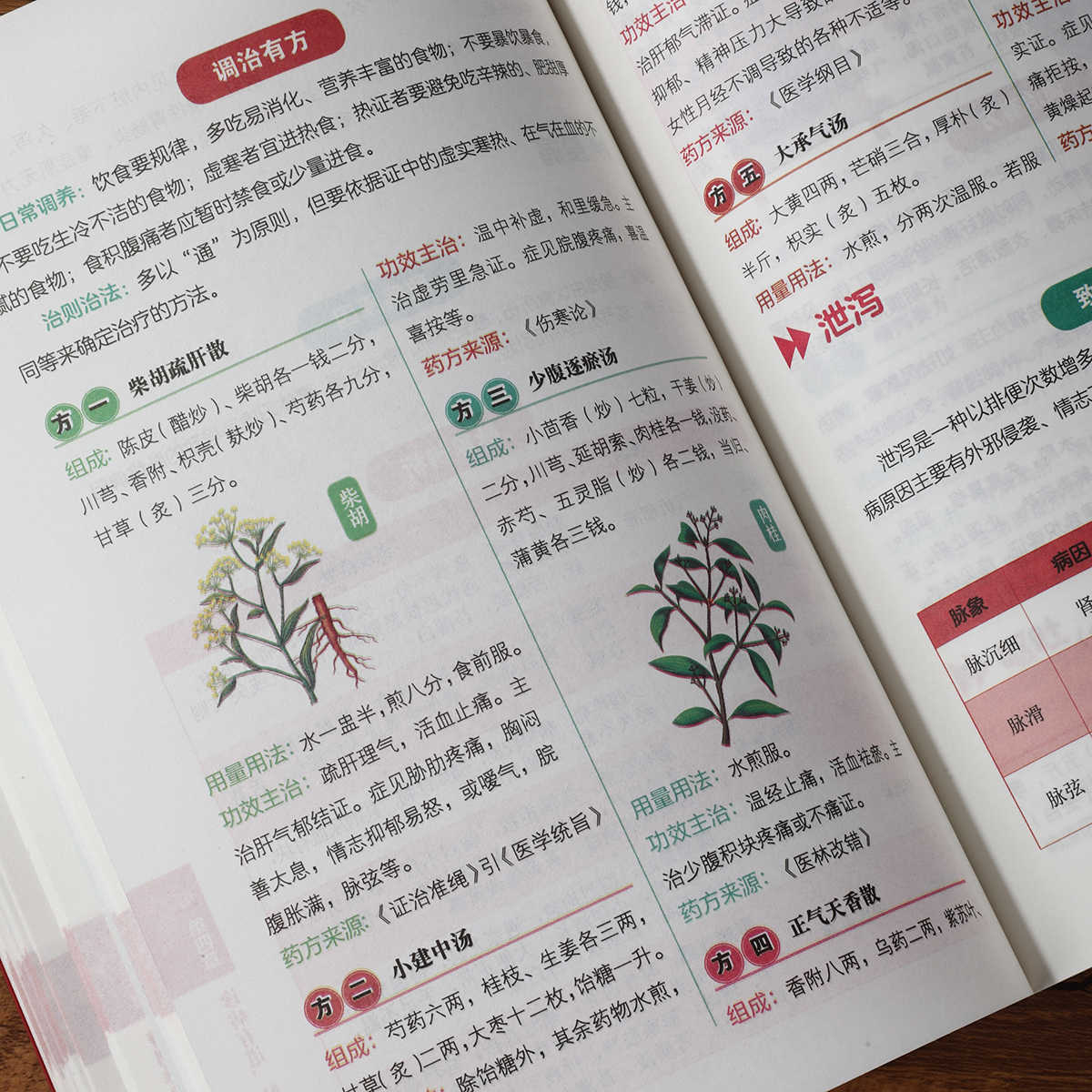 การวินิจฉัยชีพจรด้วยตนเอง หนัง - Health & Wellness Lions บทวิจารณ์และราคา